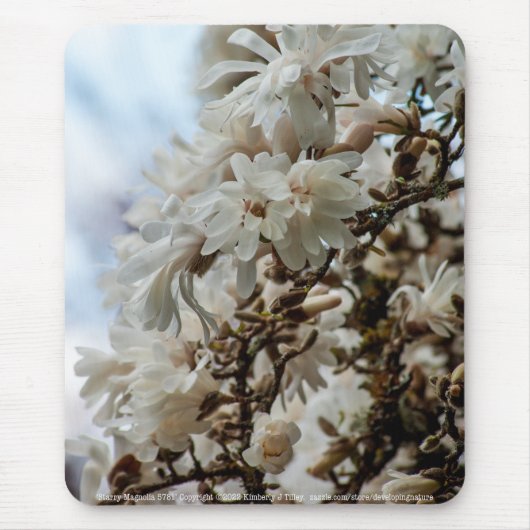 Starry Magnolia 5781 Mousepad (Vorne)