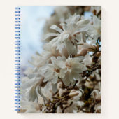 Starry Magnolia 5781 Notizblock (Vorderseite)