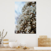 Starry Magnolia 5781 Poster (Küche)