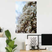 Starry Magnolia 5781 Poster (Heimbüro)