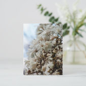 Starry Magnolia 5871 Postkarte (Stehend Vorderseite)