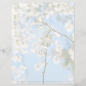 Starry Magnolia 6490 (Vorderseite)