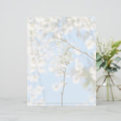 Starry Magnolia 6490 (Stehend Vorderseite)