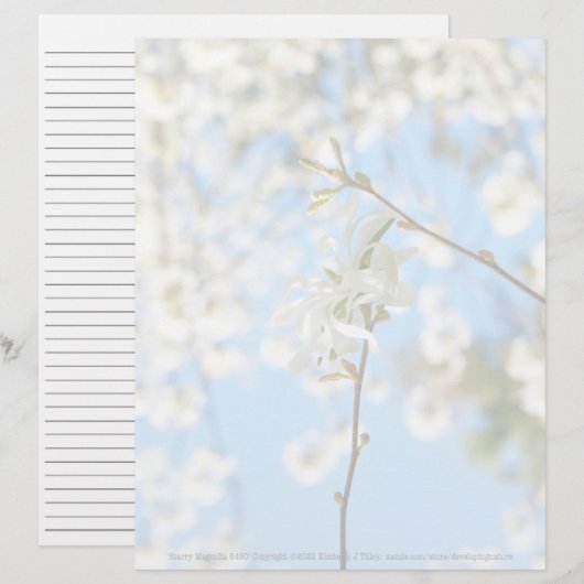 Starry Magnolia 6490 (Vorne/Hinten)