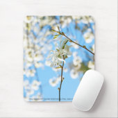 Starry Magnolia 6490 Mousepad (Mit Mouse)