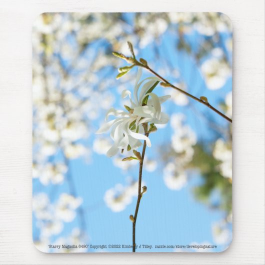 Starry Magnolia 6490 Mousepad (Vorne)