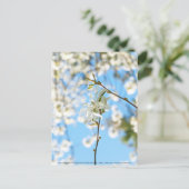 Starry Magnolia 6490 Postkarte (Stehend Vorderseite)