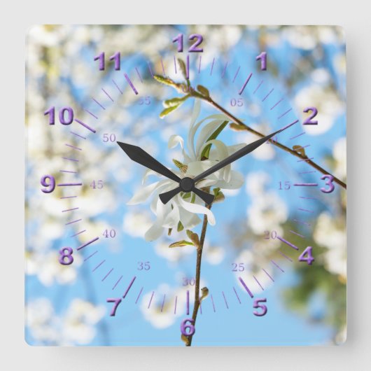 Starry Magnolia 6490 Quadratische Wanduhr (Vorderseite)