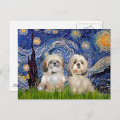 Starry Night - 2 Sihih Tzus (P+Y) Postkarte (Vorne/Hinten)