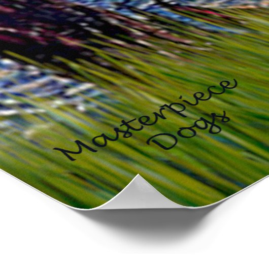 Starry Night - Beagle #1 Poster (Ecke)