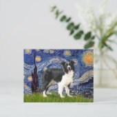 Starry Night - Border Collie (Z) Postkarte (Stehend Vorderseite)