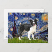 Starry Night - Border Collie (Z) Postkarte (Vorne/Hinten)