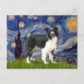 Starry Night - Border Collie (Z) Postkarte (Vorderseite)