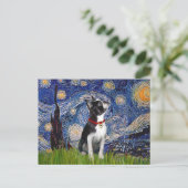 Starry Night - Boston T (2rc) Postkarte (Stehend Vorderseite)