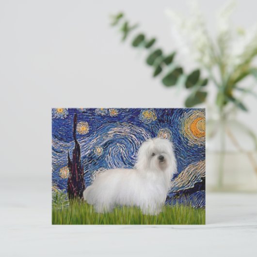 Starry Night - Coton de Tulear 5 Postkarte (Stehend Vorderseite)