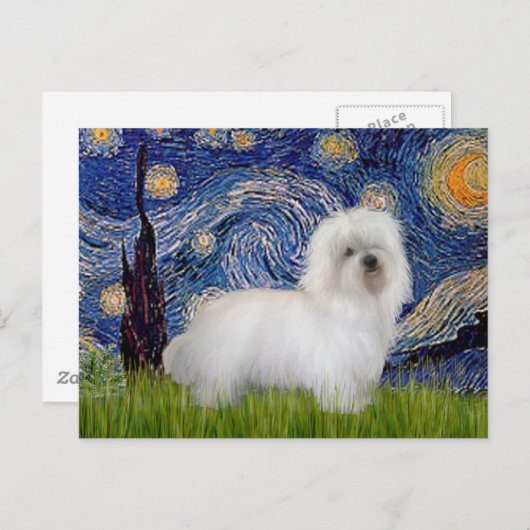 Starry Night - Coton de Tulear 5 Postkarte (Vorne/Hinten)