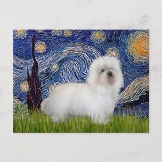 Starry Night - Coton de Tulear 5 Postkarte (Vorderseite)
