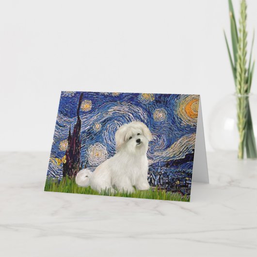 Starry Night - Coton de Tulear 7 Karte (Vorderseite)