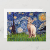 Starry Night - Cream Sphynx Cat Postkarte (Vorne/Hinten)