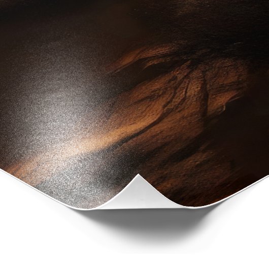 Starry Night Desert Fotodruck (Ecke)