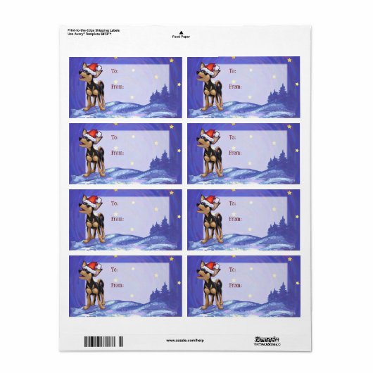 Starry Night Festive Chihuahua in Weihnachtsmannmü (Vorne)