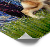 Starry Night - German Shepherd 13 Poster (Ecke)