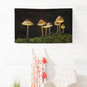 Starry Night Glows Mushrooms Banner (Insitu)