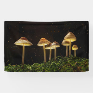 Starry Night Glows Mushrooms Banner