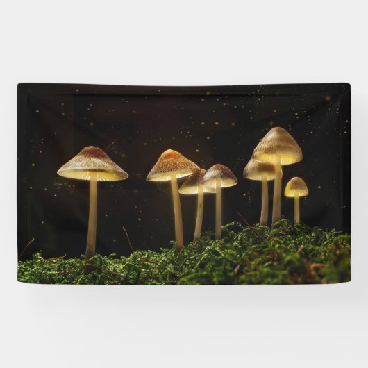 Starry Night Glows Mushrooms Banner (Horizontal)