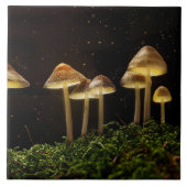 Starry Night Glows Mushrooms Fliese (Vorderseite)