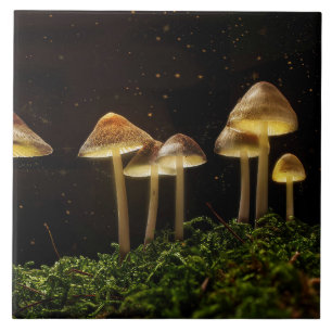 Starry Night Glows Mushrooms Fliese