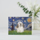 Starry Night - Havanese (#1) Postkarte (Stehend Vorderseite)