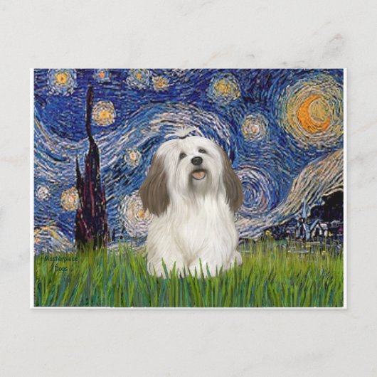 Starry Night - Havanese (#1) Postkarte (Vorderseite)