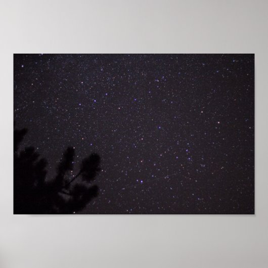 Starry Night, Michigan Poster (Vorne)