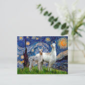 Starry Night mit zwei Llamas Postkarte (Stehend Vorderseite)