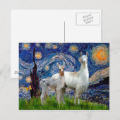 Starry Night mit zwei Llamas Postkarte (Vorne/Hinten)