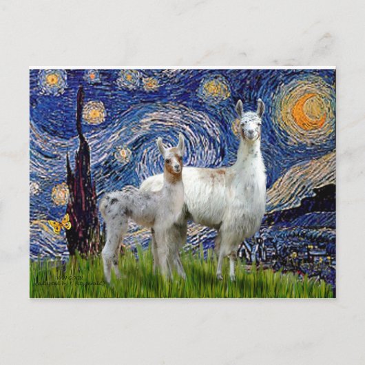 Starry Night mit zwei Llamas Postkarte (Vorderseite)