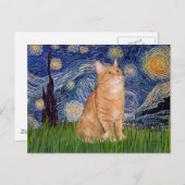 Starry Night - Orange Tabby 46 Postkarte (Vorne/Hinten)