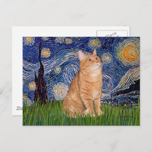 Starry Night - Orange Tabby 46 Postkarte (Vorne/Hinten)
