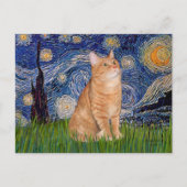 Starry Night - Orange Tabby 46 Postkarte (Vorderseite)
