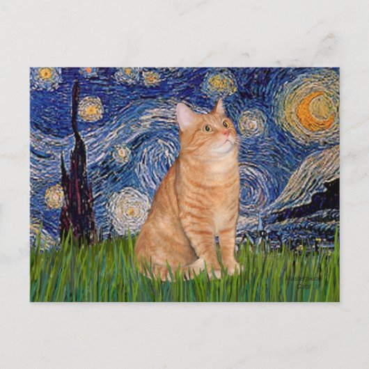 Starry Night - Orange Tabby 46 Postkarte (Vorderseite)