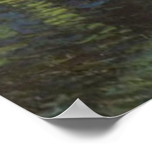 Starry Night Over the Rhone PostBeeinont Poster (Ecke)