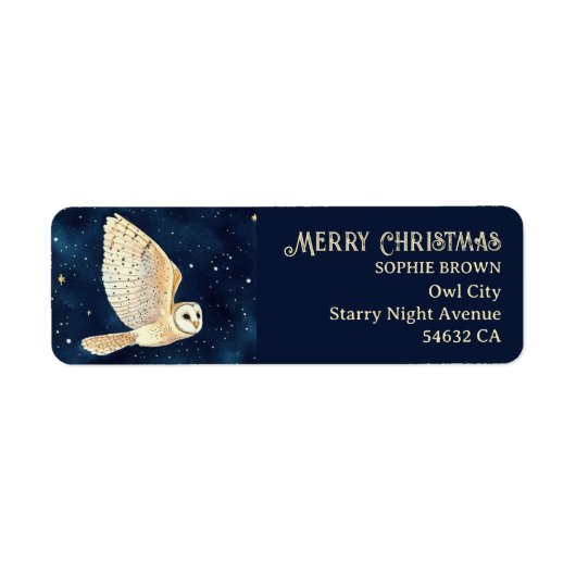 Starry Night Owl Wasserfarbe Xmas Rücksendeadresse (Vorne)