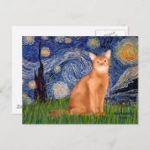 Starry Night - Red Abyssinian Postkarte (Vorne/Hinten)