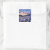 Starry Night Sky Over Purple Lupine Meadow Quadratischer Aufkleber (Tasche)
