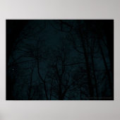 Starry Night Trees Poster (Vorne)