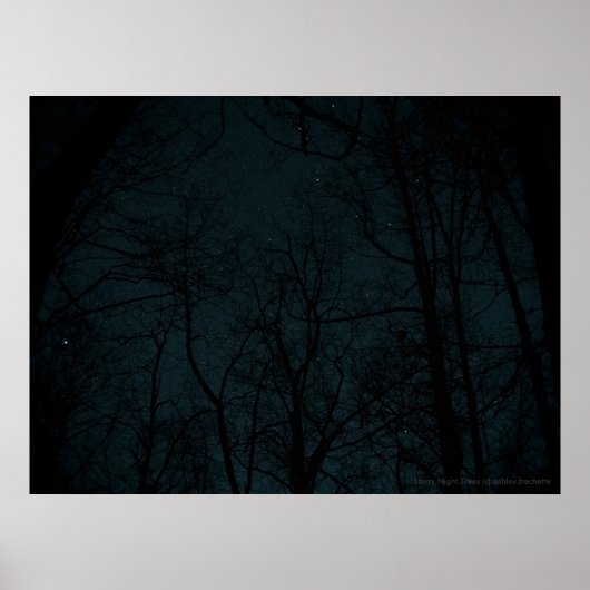 Starry Night Trees Poster (Vorne)