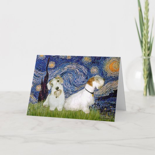 Starry Night - Two Sealyham Terriers Karte (Vorderseite)