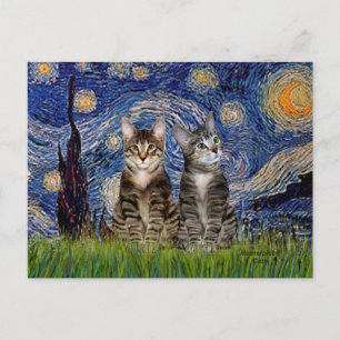 Starry Night - Two Tabby Tiger Cats Postkarte