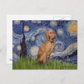 Starry Night - Vizsla 2 Postkarte (Vorne/Hinten)